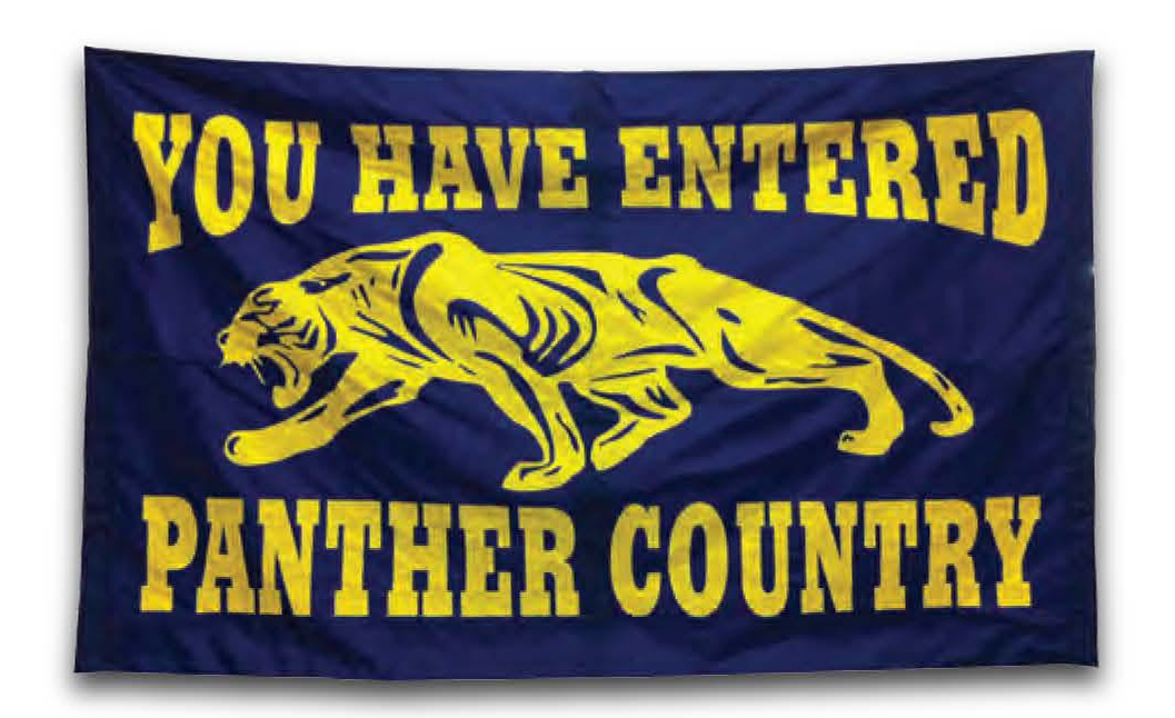 Custom Appliqué Run-Through Banners