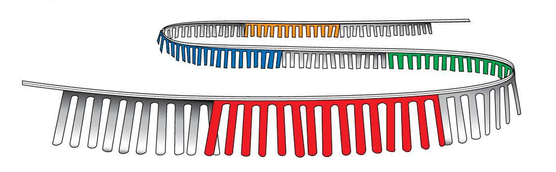 Finger-Cut Metallic Fringe & Streaking Bullet Pennants